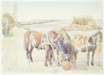 Horses in the Field