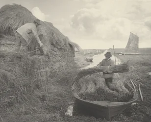 Ricking the Reed, 1886