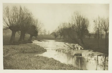 A Backwater on the Lea