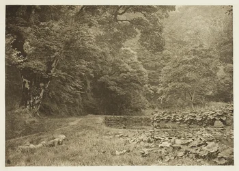 A Quiet Nook in Beresford Dale