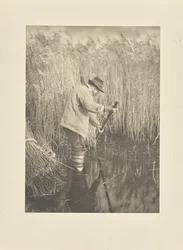 A Reed-Cutter at Work