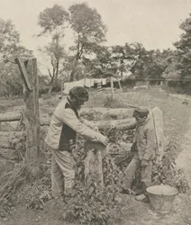 At the Grindstone--A Suffolk Farmyard