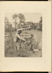 At the Grindstone - A Suffolk Farmyard