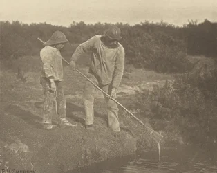 Eel-Picking in Suffolk Waters