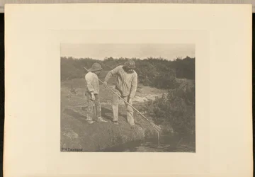 Eel-Picking in Suffolk Waters