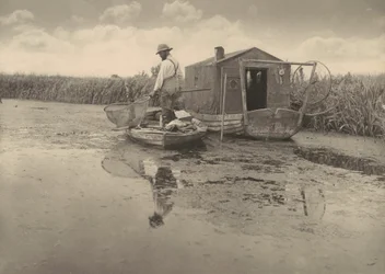 Eel Catcher