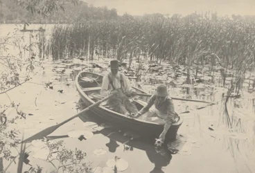 Gathering Water-Lilies