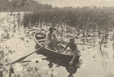 Gathering Water-Lilies