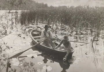 Gathering Waterlilies