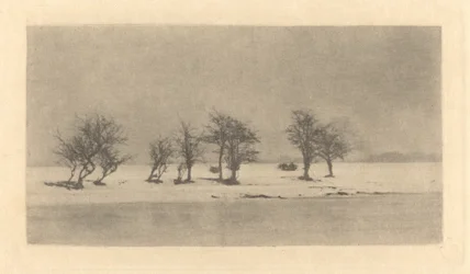 Gnarled-Thorn Trees