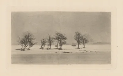 Gnarled Thorn Trees