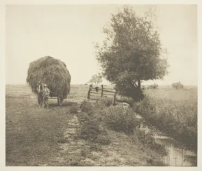 In the Haysel (Norfolk)