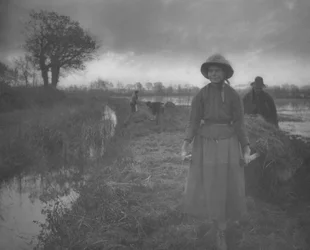 Poling the Marsh Hay, 1886
