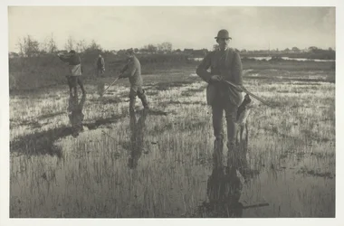 Snipe Shooting