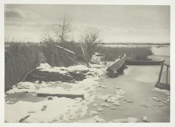 The First Frost