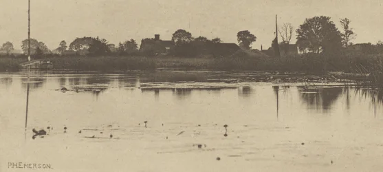 The Fringe of the Mere