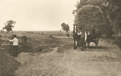 The Wealth of Marshland