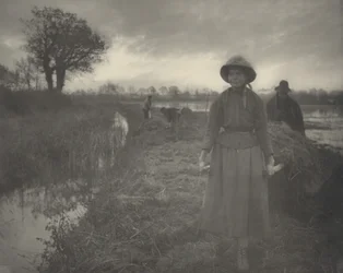 Poling the Marsh Hay