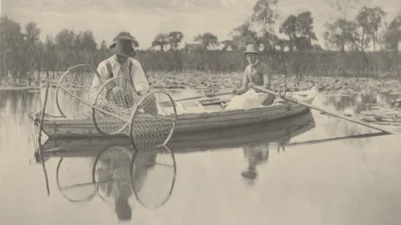 Setting the Bow-Net
