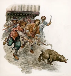 Chasing a wild dog through the streets