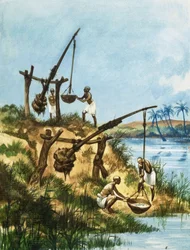 Early Egyptians using a system of weights and poles called shadoofs to get water from the Nile