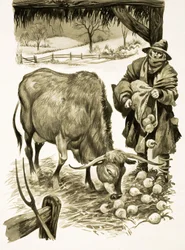 The Wonderful Story of Britain: When Farming Changed