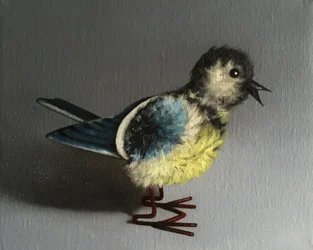 Blue Tit, 2016