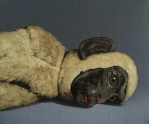 Monkey Still-Life, 2016