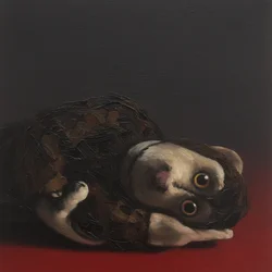 Toby Monkey