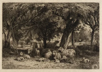 Sheep in an Orchard