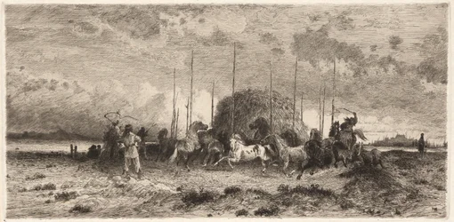 Harvest at San Juan, N.M.