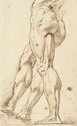 An Écorché Study of the Legs of a Male Nude, with a Subsidiary Study of the Right Leg
