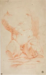 Belvedere Torso