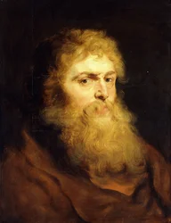 Head of a Bearded Man