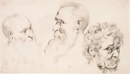 Three Male Heads