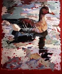 White Fronted Goose