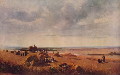 A Cornfield