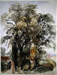 Trees with Farm Buildings in the Distance