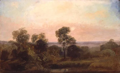 Wooded Landscape at Dusk
