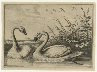 Two Swans, Diversarum Avium Species (series title), Various Birds (series title)