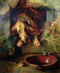 When the Cat