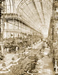 The interior of the nave taken from the gallery above the Queen