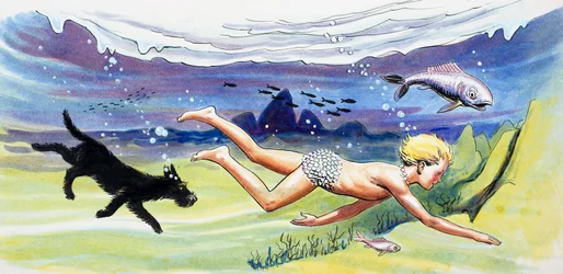 Swimming with the Fish