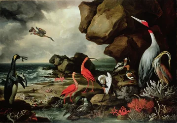 A Penguin, a Pair of Flamingoes, and Other Exotic Birds, Shells, and Coral on the Shoreline