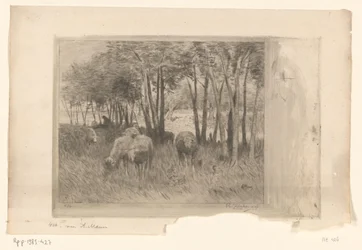 Flock of Sheep and Shepherd in a Meadow with Trees