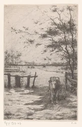 Cow Being Milked in a Meadow