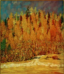 Autumn Forest