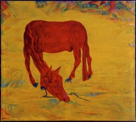 Horse in Freedom