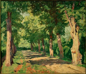 Linden Avenue