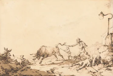 A Bull Charging